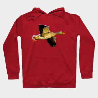 Greylag goose Hoodie